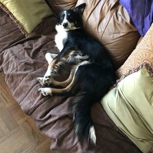 Meet your Posher, John